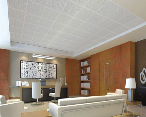 Ceiling Board for flase ceiling - office project